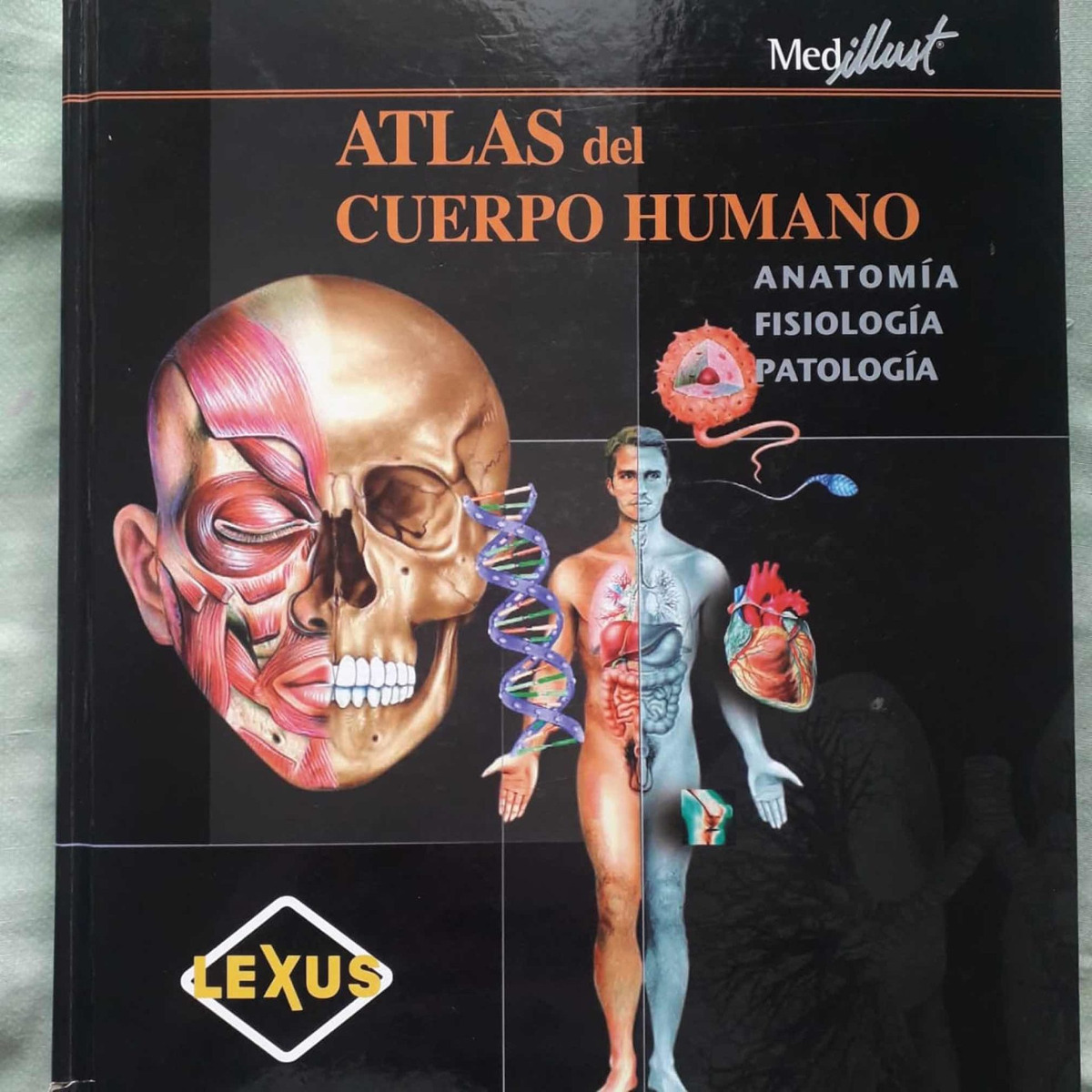 Atlas Del Cuerpo Humano Anatomia Fisiologia Patologia 9788497512299