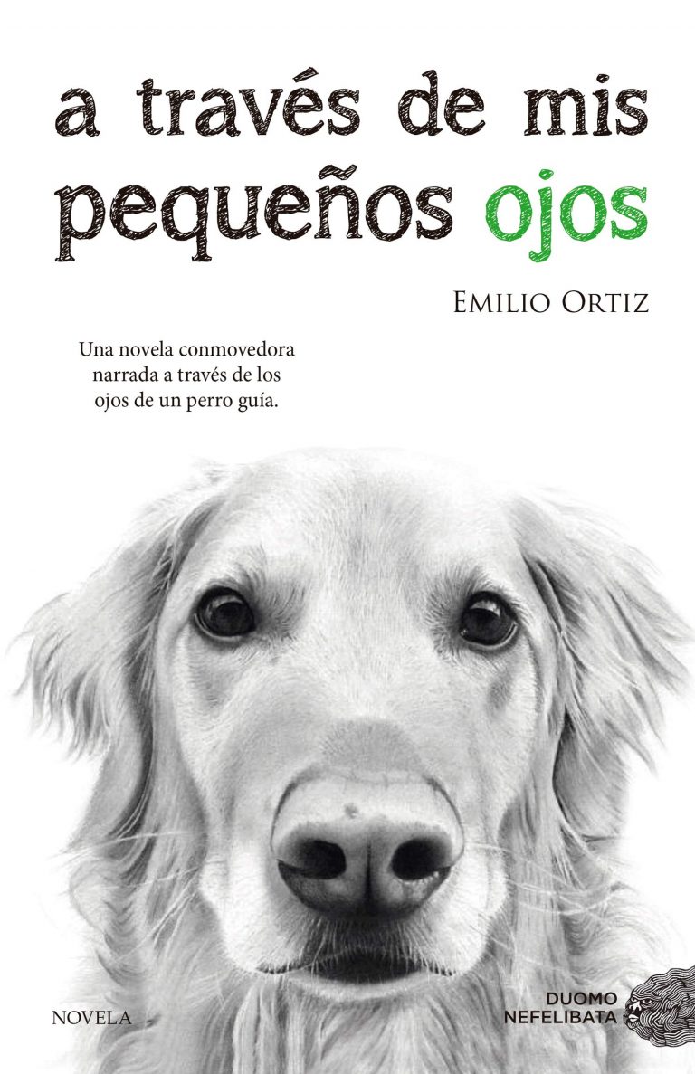 A TRAVES DE MIS PEQUENOS OJOS