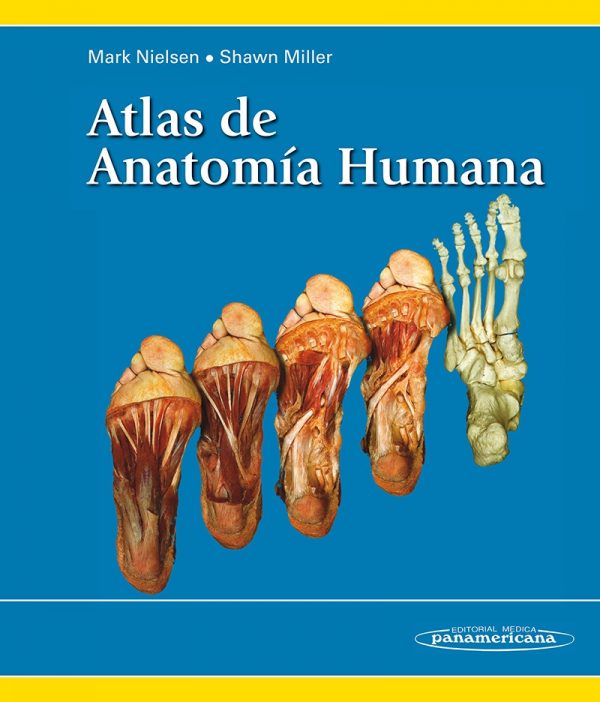 EBOOK-ATLAS DE ANATOMIA HUMANA 9788498355901