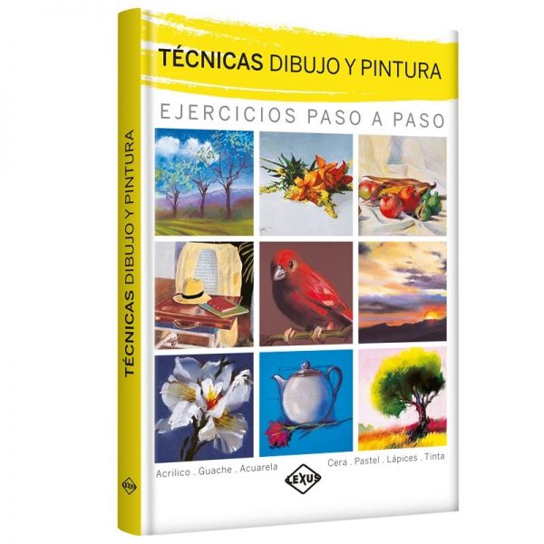 TECNICAS DIBUJO Y PINTURA 9789962041740