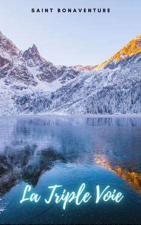 LA TRIPLE VOIE