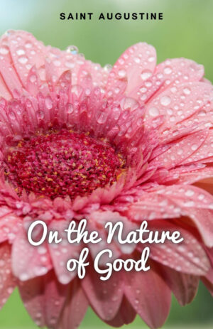 ON THE NATURE OF GOOD