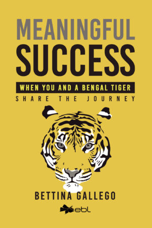 MEANINGFUL SUCCESS 9781524318369