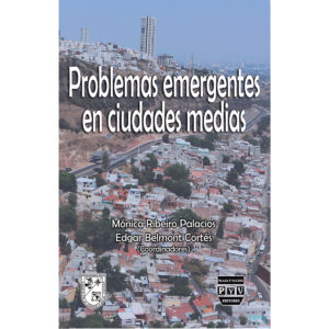 PROBLEMAS EMERGENTES EN CIUDADES MEDIAS