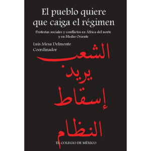 EL PUEBLO QUIERE QUE CAIGA EL RÉGIMEN.