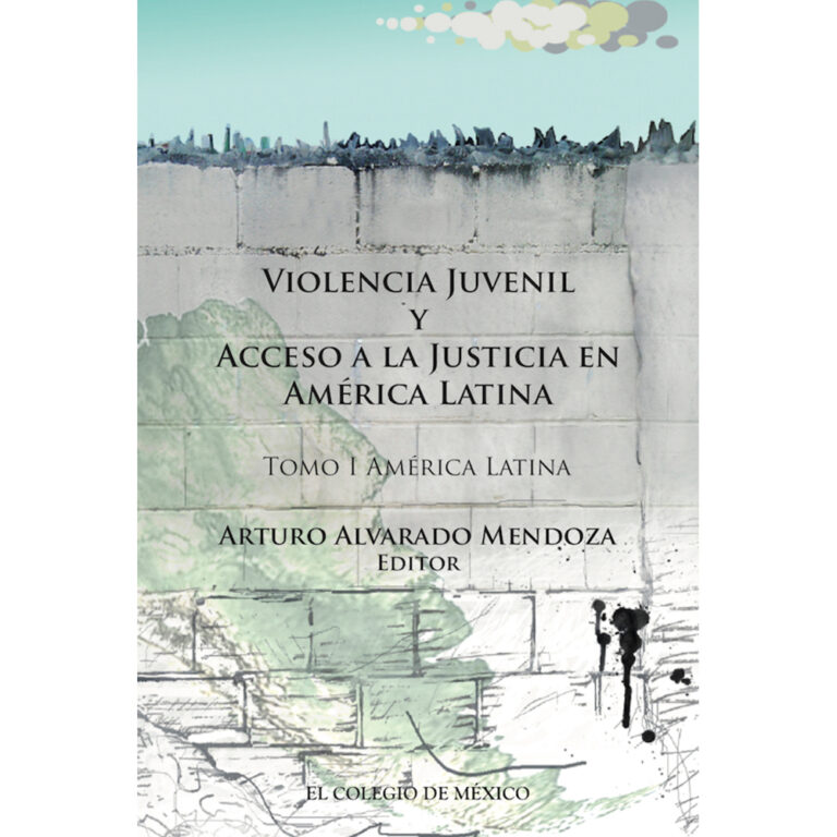 VIOLENCIA JUVENIL Y ACCESO A LA JUSTICIA.