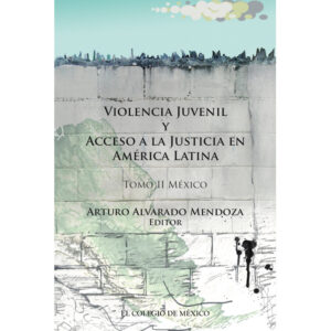 VIOLENCIA JUVENIL Y ACCESO A LA JUSTICIA. 9786074626162