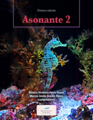 ASONANTE 2