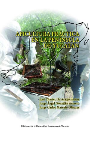 APICULTURA PRÁCTICA EN LA PENÍNSULA DE YUCATÁN