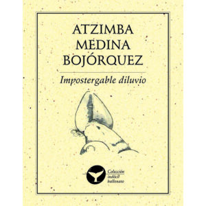 IMPOSTERGABLE DILUVIO 9786077640721