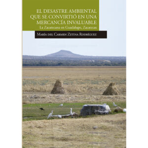 EL DESASTRE AMBIENTAL QUE SE CONVIRTIÓ EN UNA MERCANCÍA INVALUABLE. LA ZACATECANA EN GUA