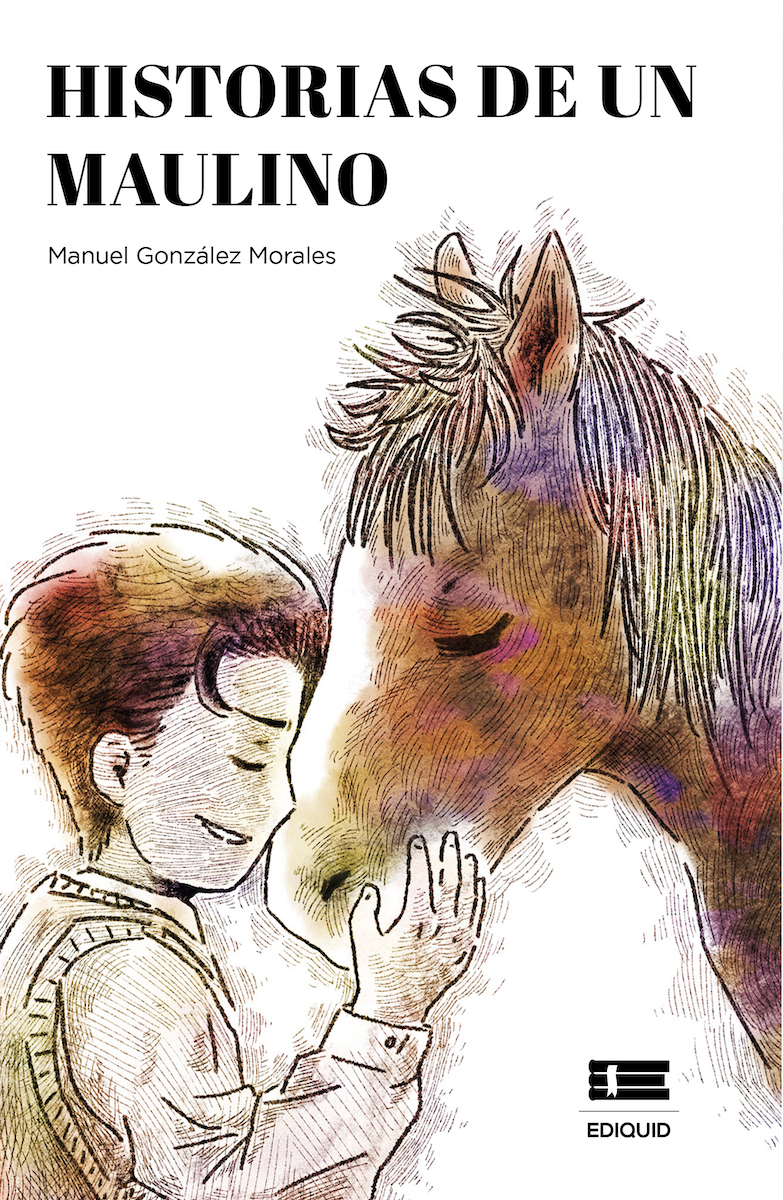 HISTORIAS DE UN MAULINO
