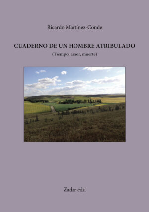 CUADERNO DE UN HOMBRE ATRIBULADO 9788409035212