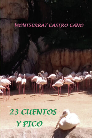 23 CUENTOS Y PICO 9788409053391