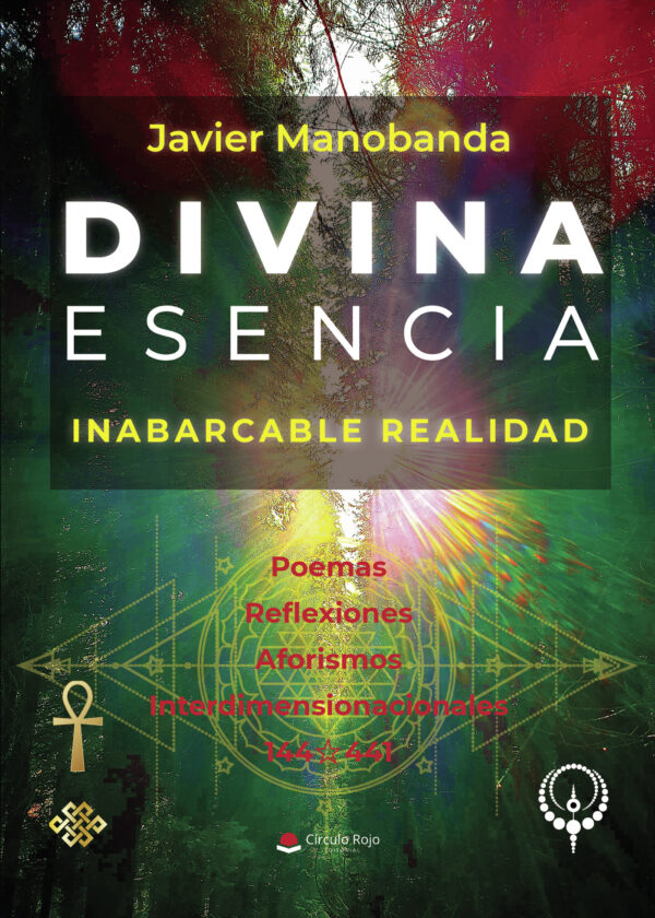 DIVINA ESENCIA - INABARCABLE REALIDAD 9788410731400