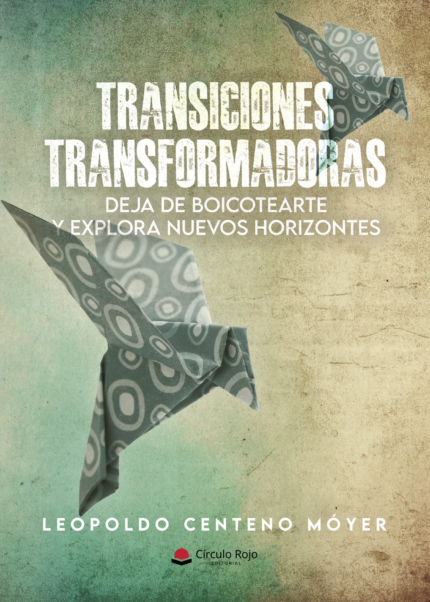 TRANSICIONES TRANSFORMADORAS