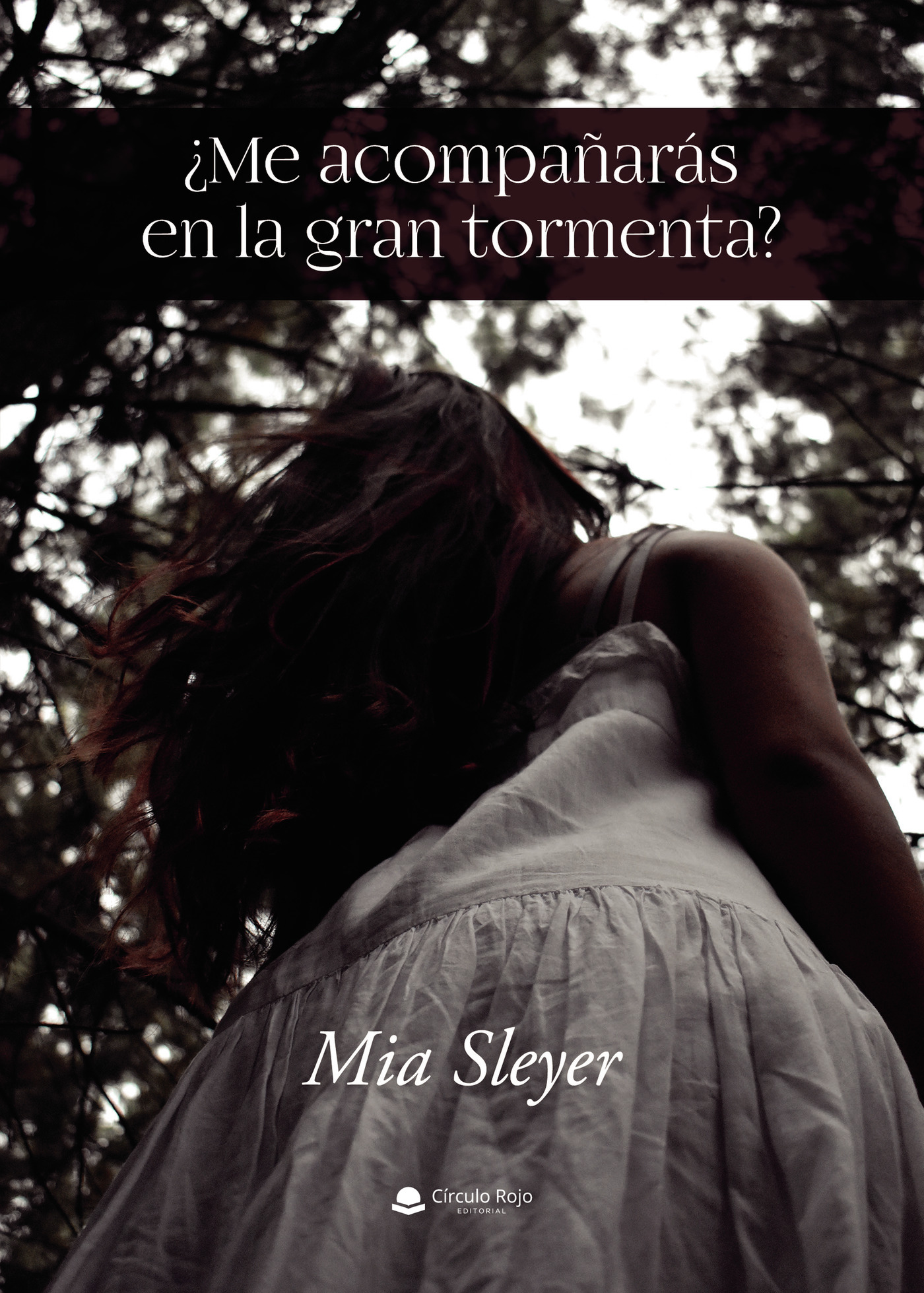 ¿ME ACOMPAÑARAS EN LA GRAN TORMENTA?
