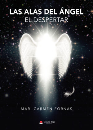 LAS ALAS DEL ÁNGEL