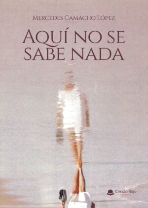 AQUÍ NO SE SABE NADA 9788411286268