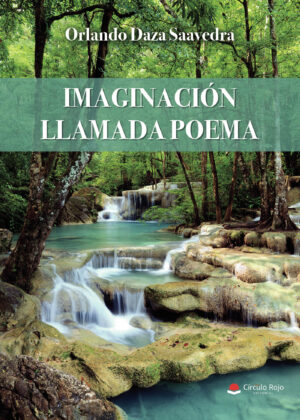 IMAGINACIÓN LLAMADA POEMA 9788411373050