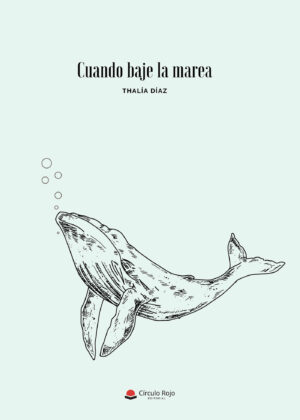 CUANDO BAJE LA MAREA 9788411377744