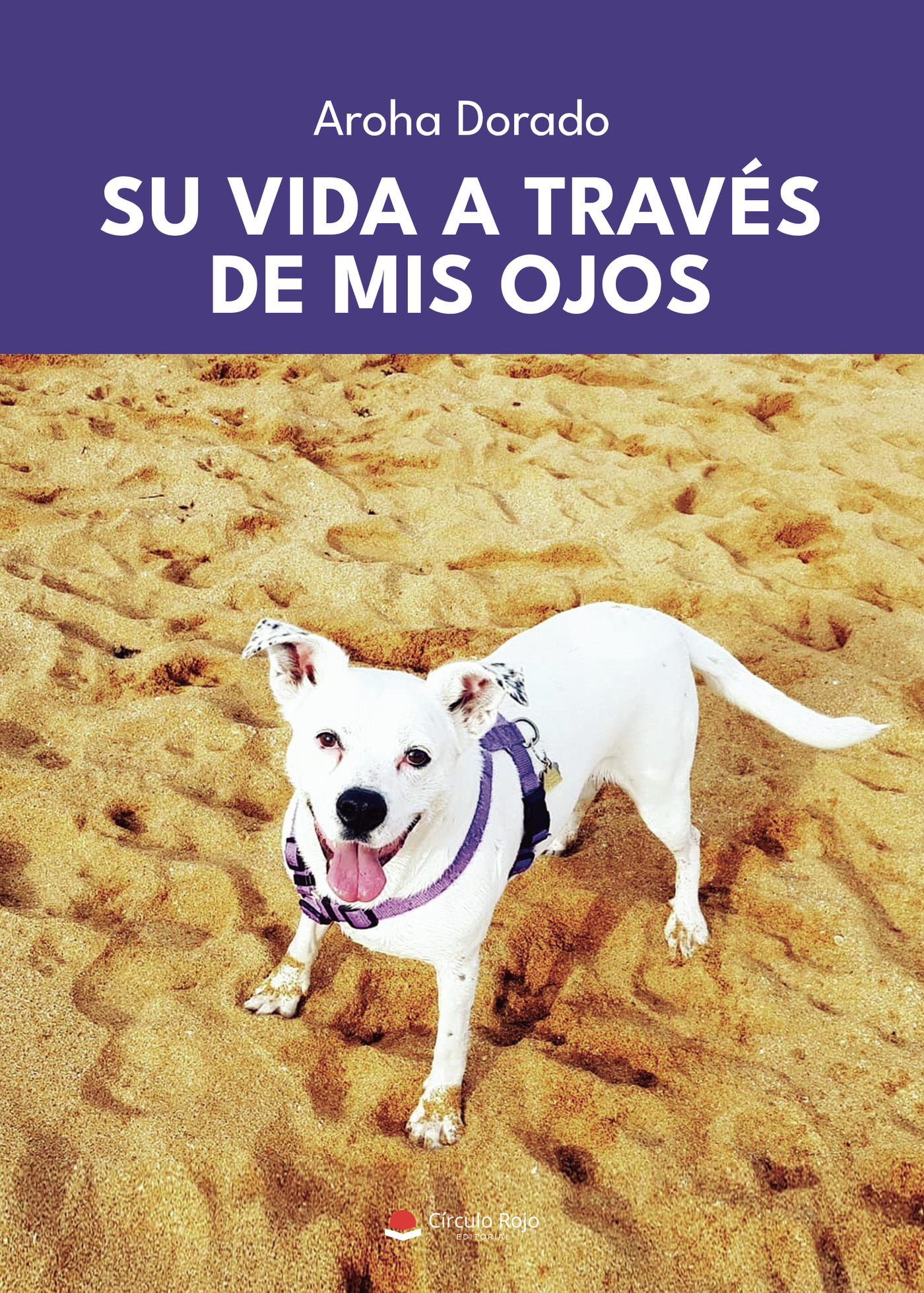 SU VIDA A TRAVÉS DE MIS OJOS