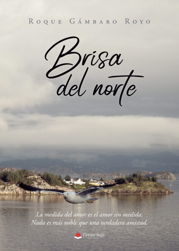 BRISA DEL NORTE 9788411590600