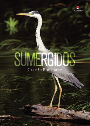 SUMERGIDOS 9788411756822