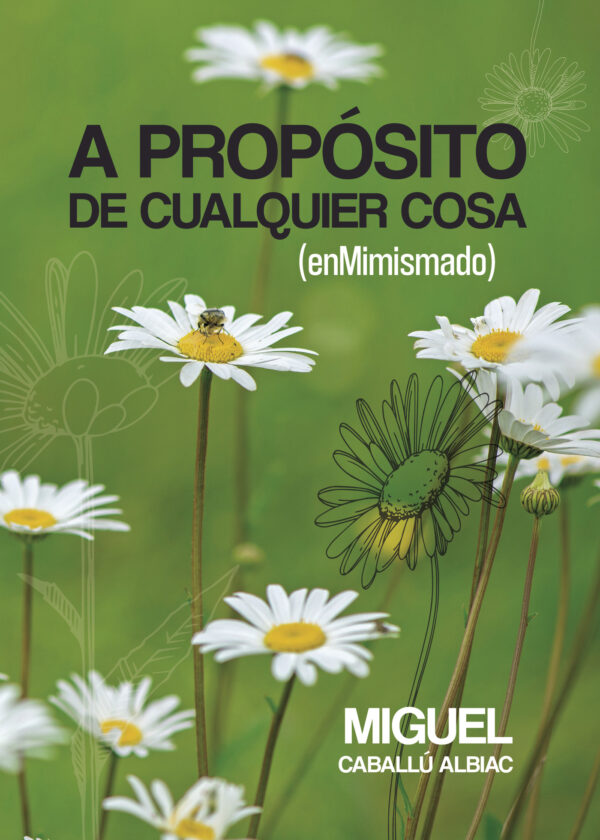 A PROPÓSITO DE CUALQUIER COSA (ENMIMISMADO) 9788411890144
