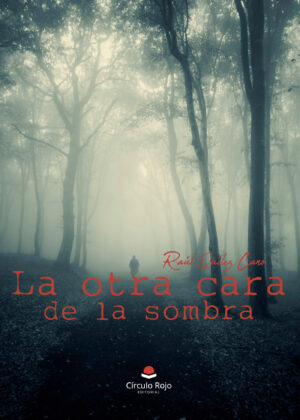 LA OTRA CARA DE LA SOMBRA