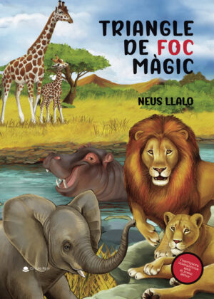 TRIANGLE DE FOC MAGIC