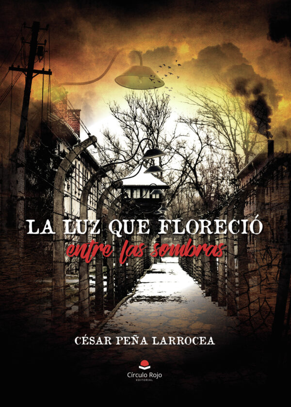 LA LUZ QUE FLORECIÓ ENTRE LAS SOMBRAS 9788411990684
