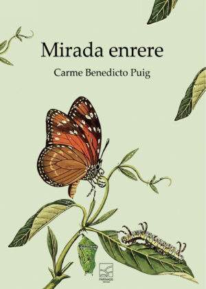 MIRADA ENRERE 9788412799286