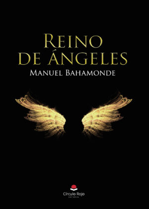 REINO DE ÁNGELES 9788413311807