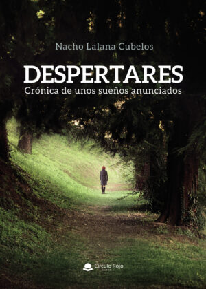 DESPERTARES. CRÓNICA DE UNOS SUEÑOS ANUNCIADOS