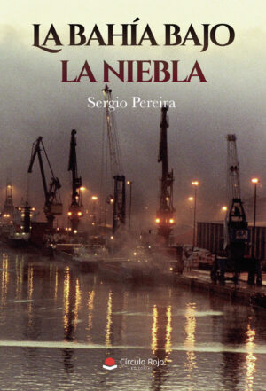 LA BAHÍA BAJO LA NIEBLA 9788413386652