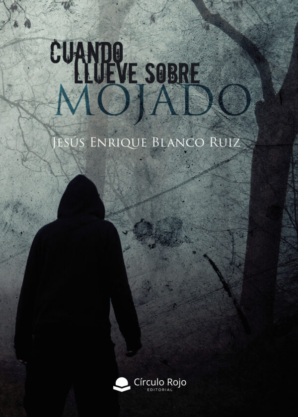 CUANDO LLUEVE SOBRE MOJADO 9788413388595