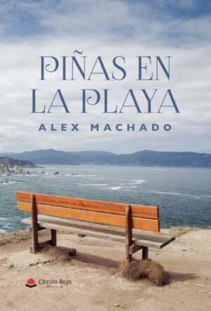 PIÑAS EN LA PLAYA 9788413389110