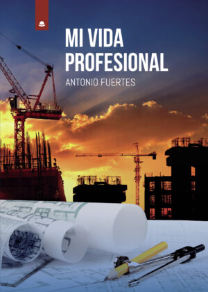 MI VIDA PROFESIONAL 9788413504124