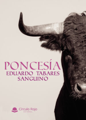 PONCESÍA
