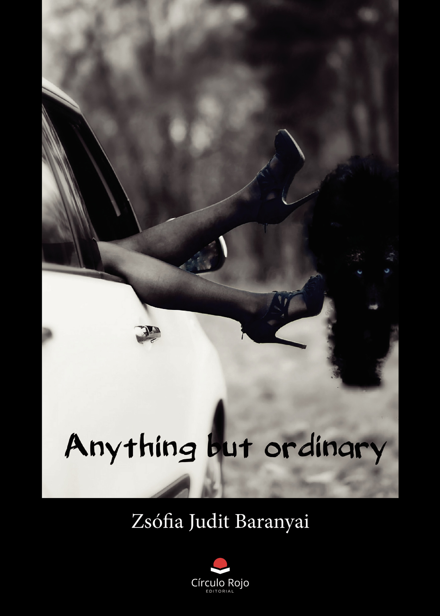 ANYTHING BUT ORDINARY