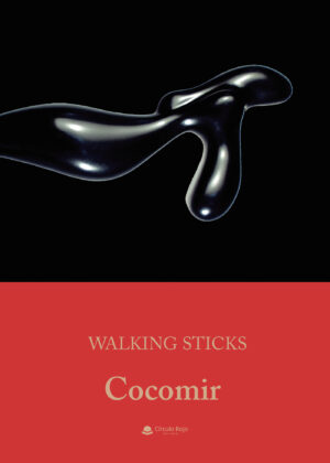 WALKING STICK 9788413851020
