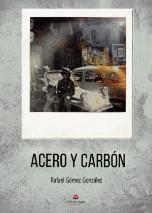 ACERO Y CARBÓN