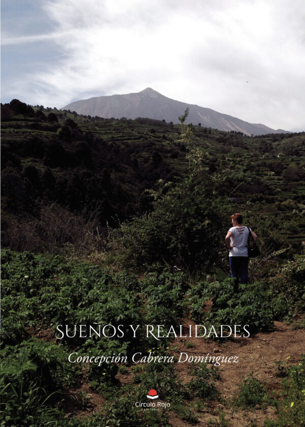 SUEÑOS Y REALIDADES 9788413986487