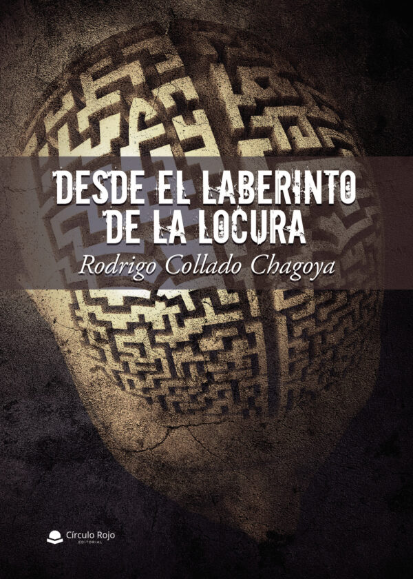 DESDE EL LABERINTO DE LA LOCURA 9788413988221
