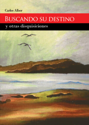 BUSCANDO SU DESTINO Y OTRAS DISQUISICIONES 9788415935636