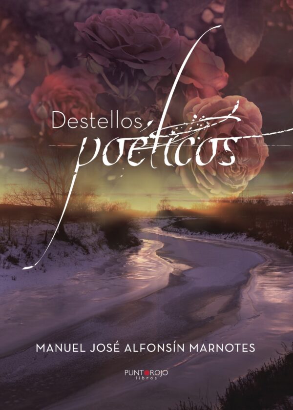 DESTELLOS POÉTICOS 9788417004354