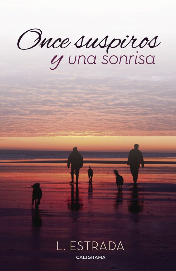 ONCE SUSPIROS Y UNA SONRISA 9788417120139