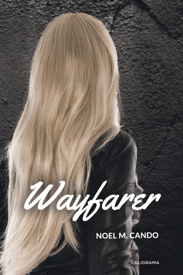 WAYFARER 9788417382476