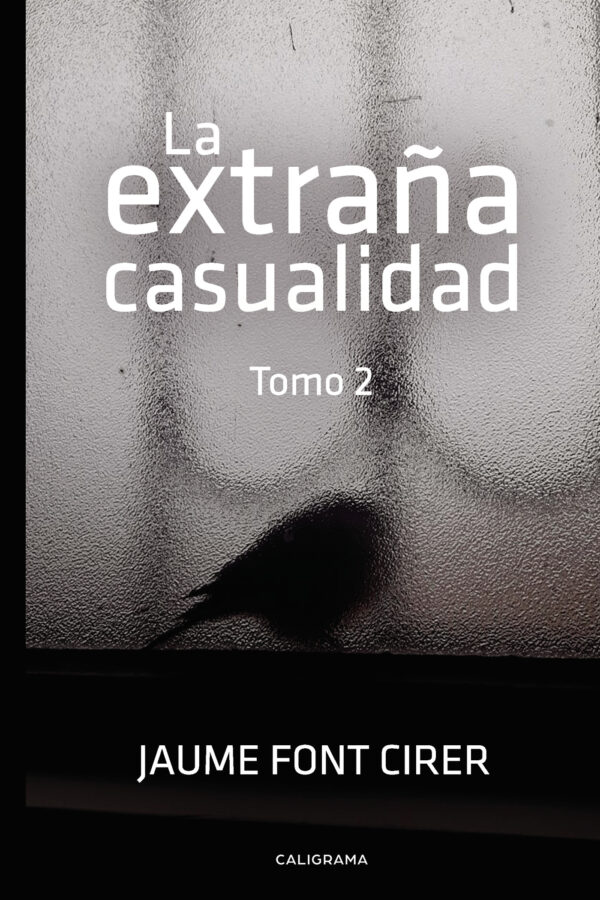LA EXTRAÑA CASUALIDAD. TOMO 2 9788417947491